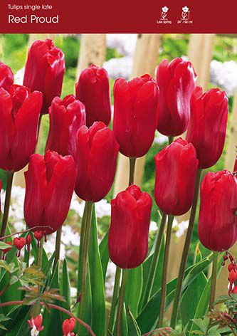 Red Proud